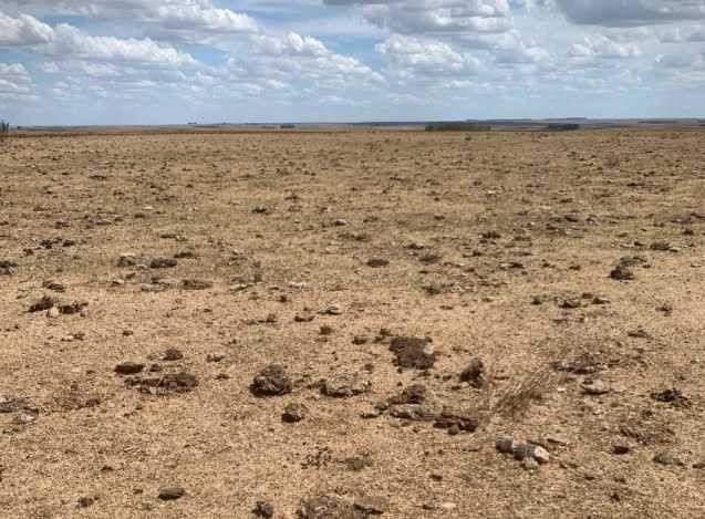 La peor sequía en 60 años y el 8° año más seco de toda la historia 