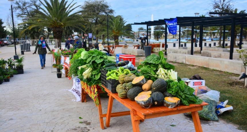 Éxito total en la nueva feria de los martes