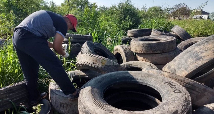 Misiones: confirman 35 casos de dengue y dos corresponden al serotipo 2