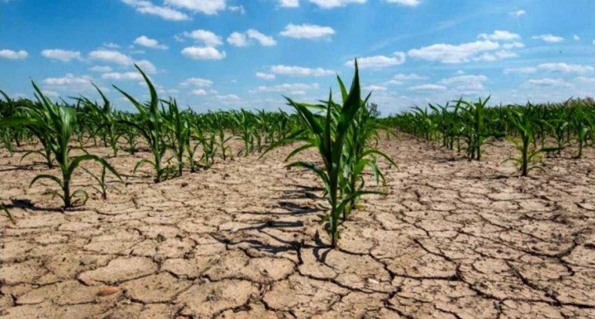 Por la persistencia de La Ni&ntilde;a, el 2022 fue el octavo a&ntilde;o m&aacute;s seco de la historia