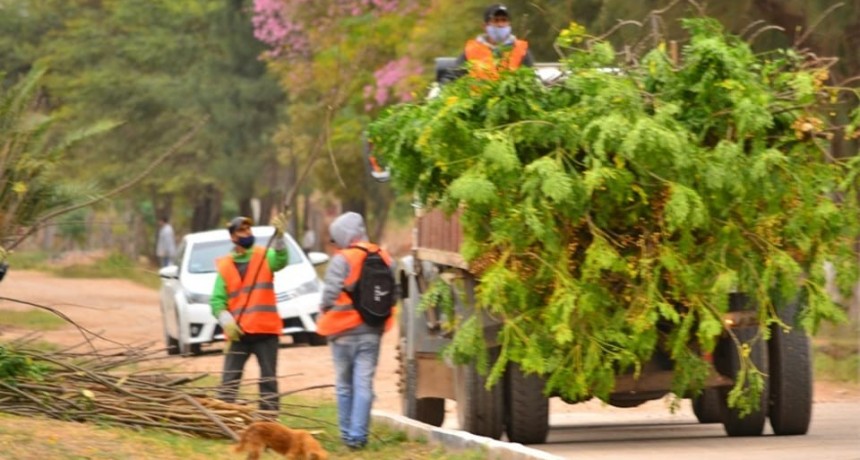Realizar&aacute;n un operativo de recolecci&oacute;n de ramas en el casco c&eacute;ntrico de la ciudad