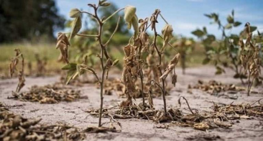 Despu&eacute;s de la sequ&iacute;a: &iquest;qu&eacute; pasar&aacute; con los suelos si las lluvias son demasiado abundantes?