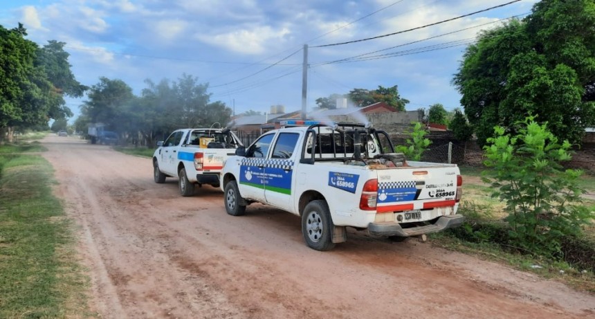 En&eacute;rgico opererativo conjunto en la lucha contra el dengue en Castelli