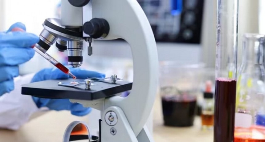 C&oacute;mo es el test que permitir&iacute;a diagnosticar la enfermedad de Alzheimer con solo una gota de sangre