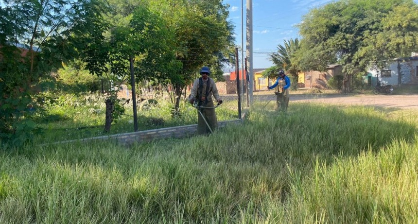 El municipio de Castelli lleva a cabo incesantes operativos de desmalezado 