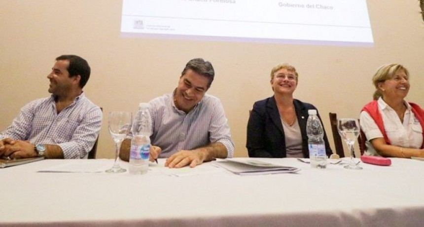 Capitanich: &ldquo;Debemos recuperar el liderazgo algodonero en Argentina y posicionarnos a nivel internacional&rdquo;