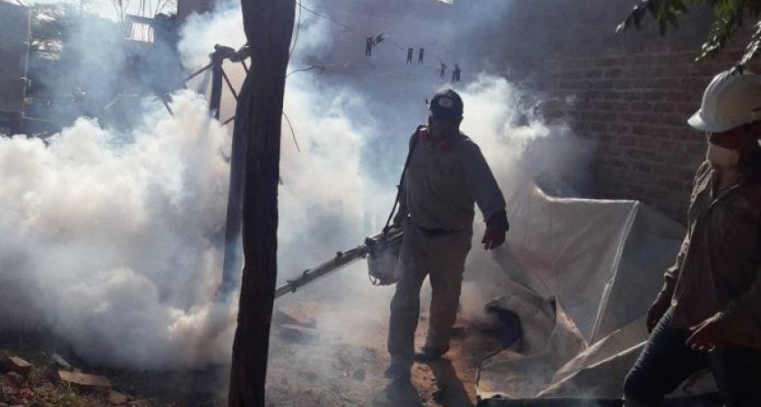 La ministra de Salud reconoci&oacute; que habr&aacute; m&aacute;s casos de dengue: &ldquo;Estamos esperando un brote epid&eacute;mico&rdquo;, alert&oacute;