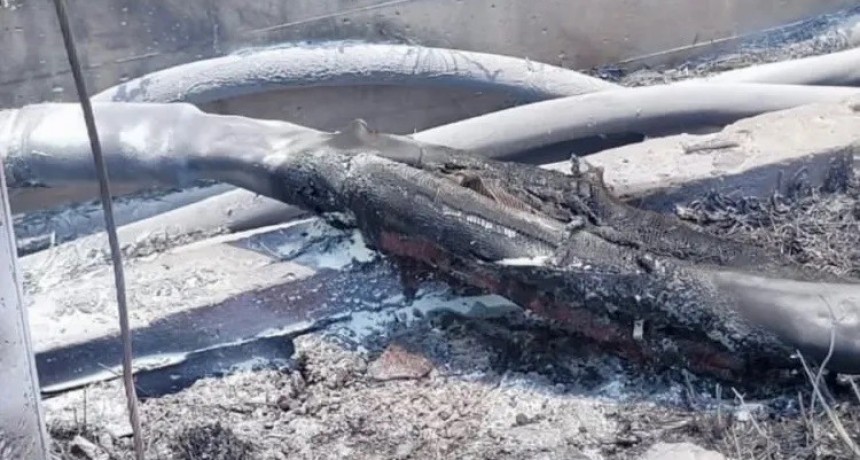 Miles de chaque&ntilde;os quedaron sin luz en una jornada infernal