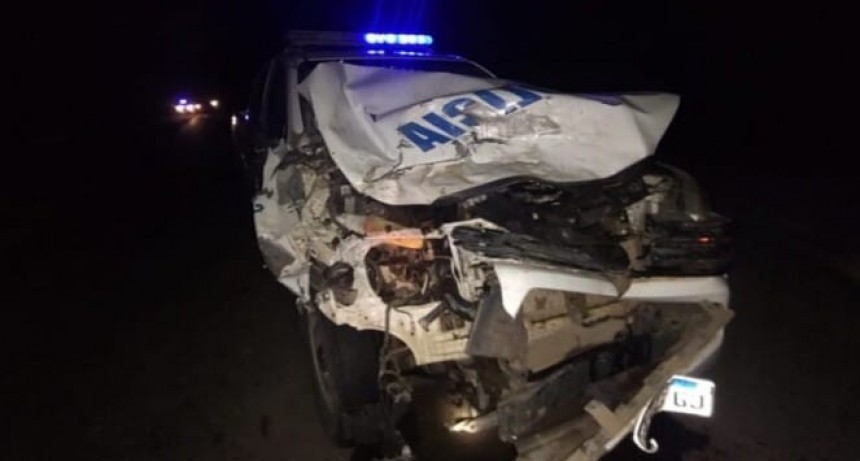 Patrullero choc&oacute; a un animal suelto en la ruta entre Castelli y Miraflores