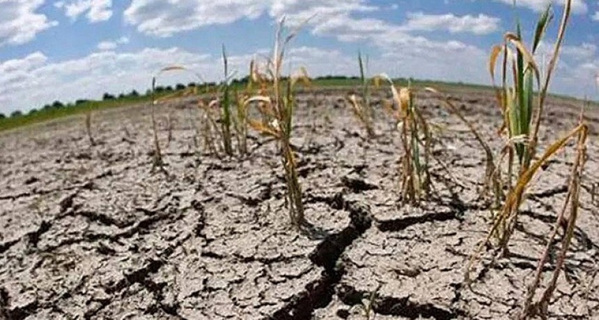 Advierten sobre un probable regreso de &ldquo;La Ni&ntilde;a&rdquo; en la segunda mitad del a&ntilde;o