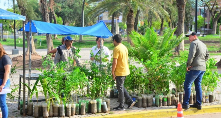 Exitosa Campa&ntilde;a de entrega de plantines y Embellecimiento Ambiental en Castelli