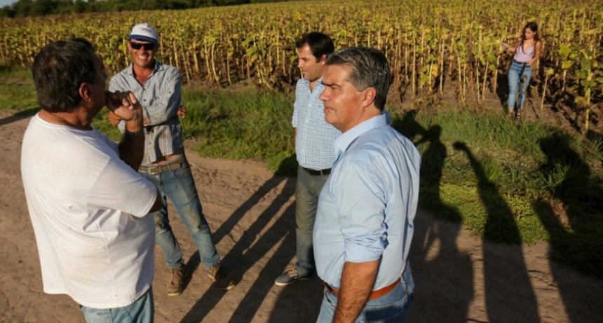 Coronavirus: La producci&oacute;n agropecuaria esta exceptuada del cese de actividades.