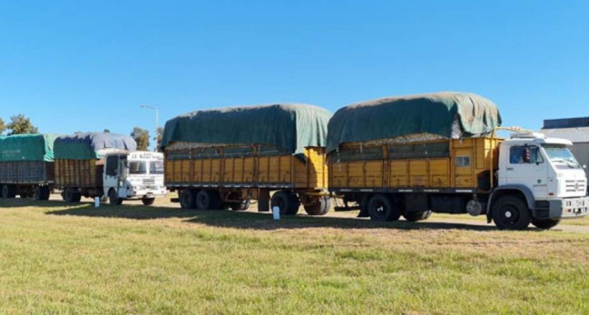 Comenz&oacute; la cosecha y desmote de algod&oacute;n en Chaco