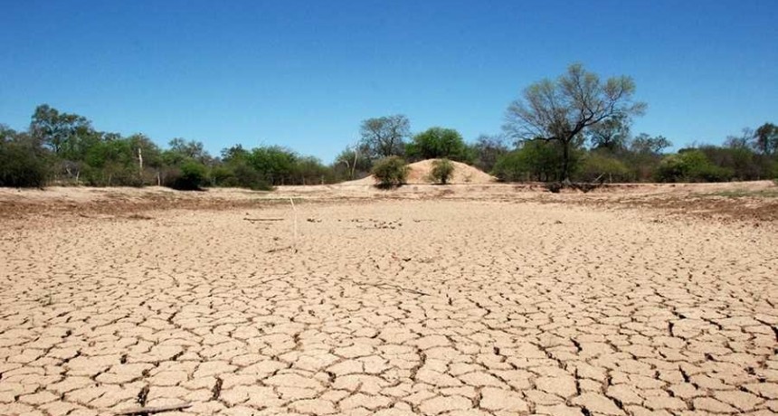 Naci&oacute;n declar&oacute; la emergencia y desastre agropecuario en Chaco a causa de la sequ&iacute;a