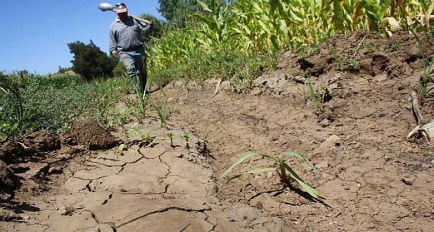 Emergencia Agropecuaria: hasta el 1 de abril se reciben las declaraciones juradas
