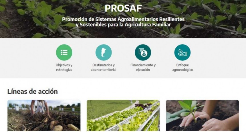 Prosaf y Agro XXI, los nuevos programas que financiar&aacute;n a peque&ntilde;os productores de la agricultura familiar