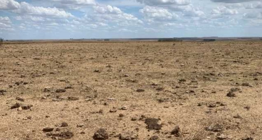 La peor sequía en 60 años y el 8° año más seco de toda la historia 