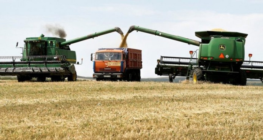 El ministro Massa anunci&oacute; un &ldquo;d&oacute;lar agro&rdquo; unificado para simplificar cotizaciones