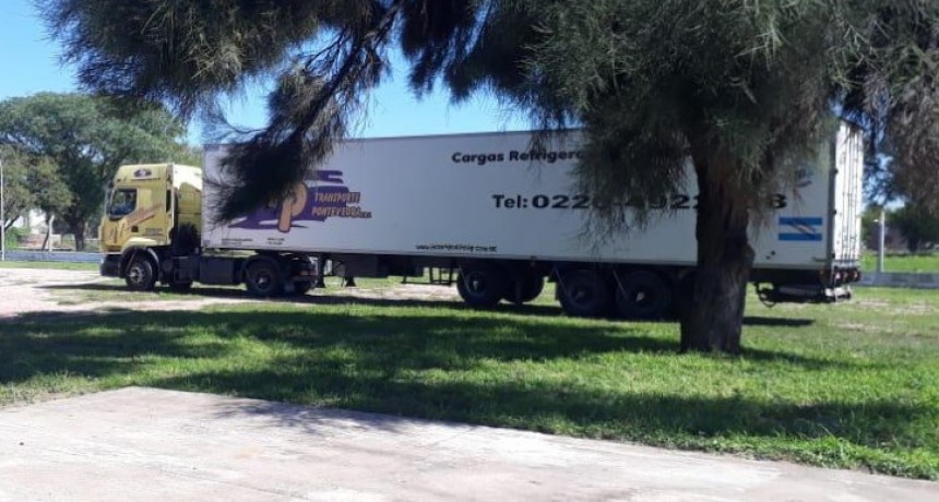 Parti&oacute; un contenedor con 26 toneladas de carne caprina hacia el Congo