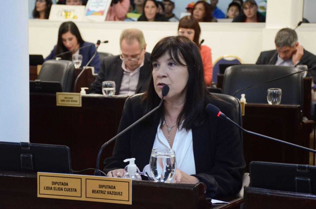 La Legislatura sancionó la ley de Emergencia en Consumos Problemáticos en el Chaco