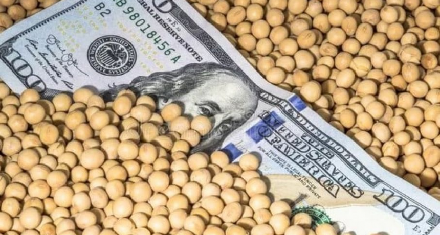 Hasta mayo extienden el tipo de cambio a $300 por d&oacute;lar para el sector sojero