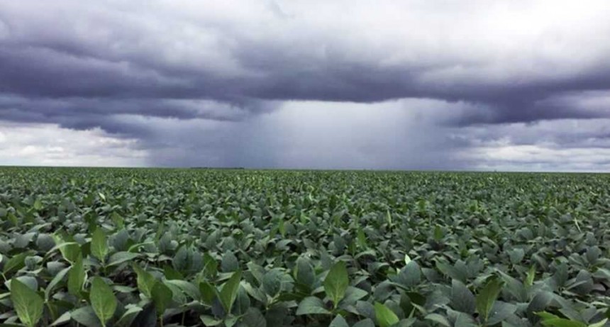El pr&oacute;ximo a&ntilde;o las precipitaciones en Chaco van a ser normales