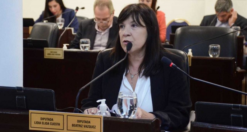 La Legislatura sancion&oacute; la ley de Emergencia en Consumos Problem&aacute;ticos en el Chaco