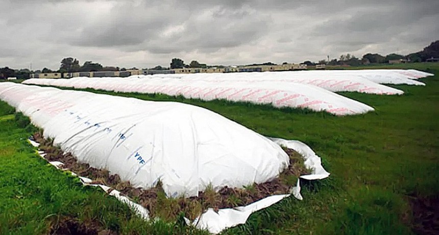 Desde el campo: &ldquo;Las 100 millones de toneladas van a salir si conseguimos mejor precio&rdquo;
