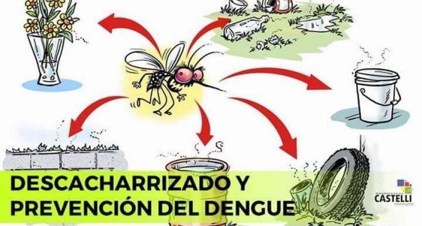 Campa&ntilde;a: TODOS CONTRA EL DENGUE