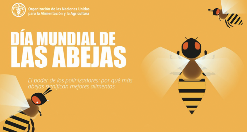 Abejas: indispensables en el ecosistema