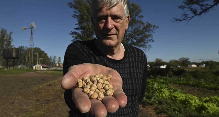 SemillAR, un programa para rescatar las semillas nativas para la producci&oacute;n