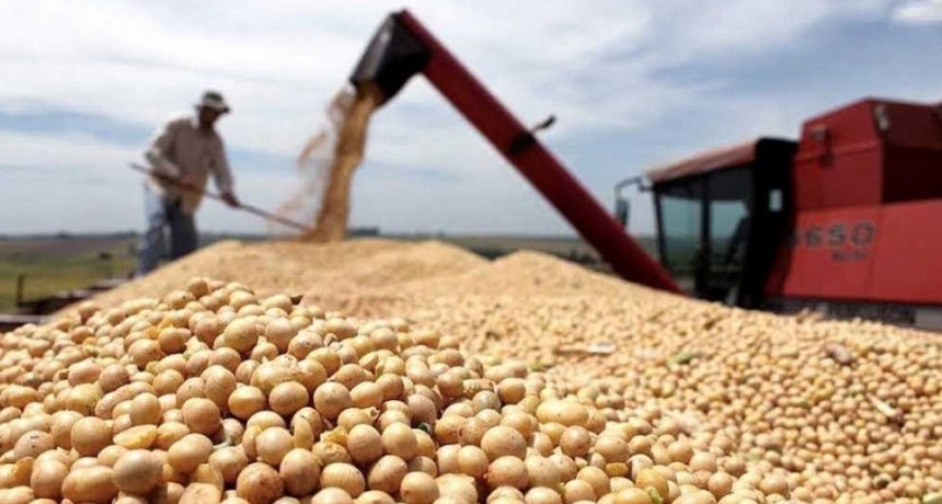 La soja super&oacute; los 600 d&oacute;lares y alcanz&oacute; su valor m&aacute;s alto en nueve a&ntilde;os