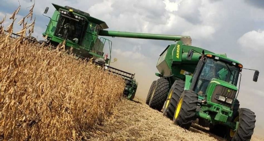Aumentan la estimaci&oacute;n de producci&oacute;n de soja a 43,5 millones de toneladas