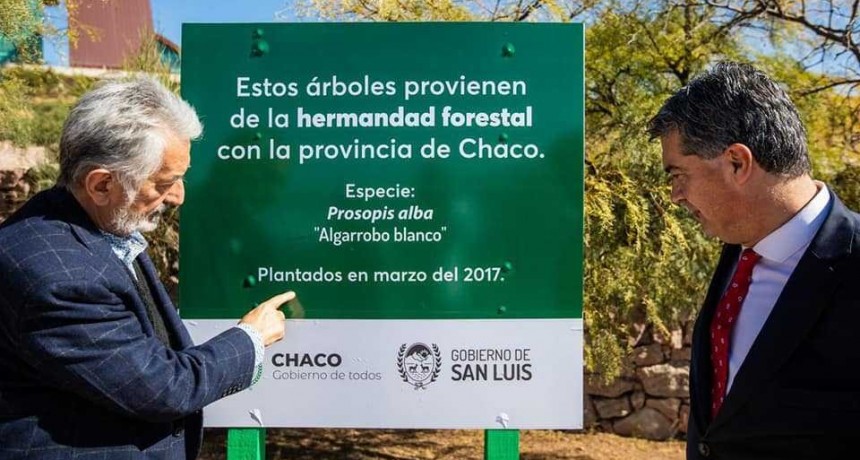 Fresnos de El Impenetrable en el Parque &ldquo;La Pedrera&rdquo; de San Luis
