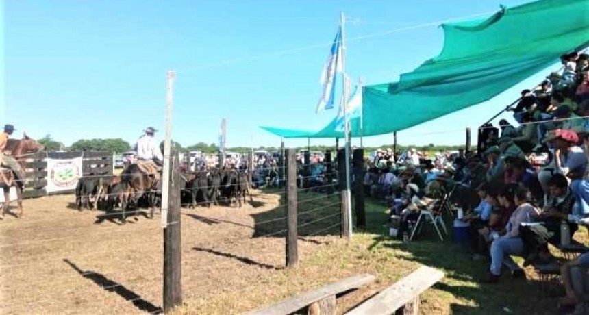 Producción: más de 1.500 animales comercializados en el remate de Pampa del Indio