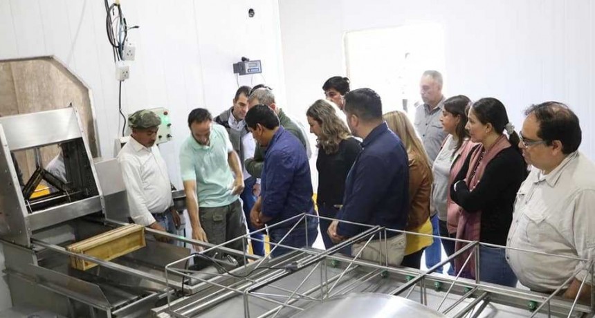 Autoridades del banco mundial supervisaron las obras ejecutadas con impacto ambiental - productivo