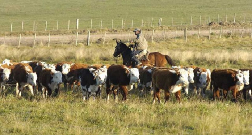 Capacitación ganadera en Tres Isletas