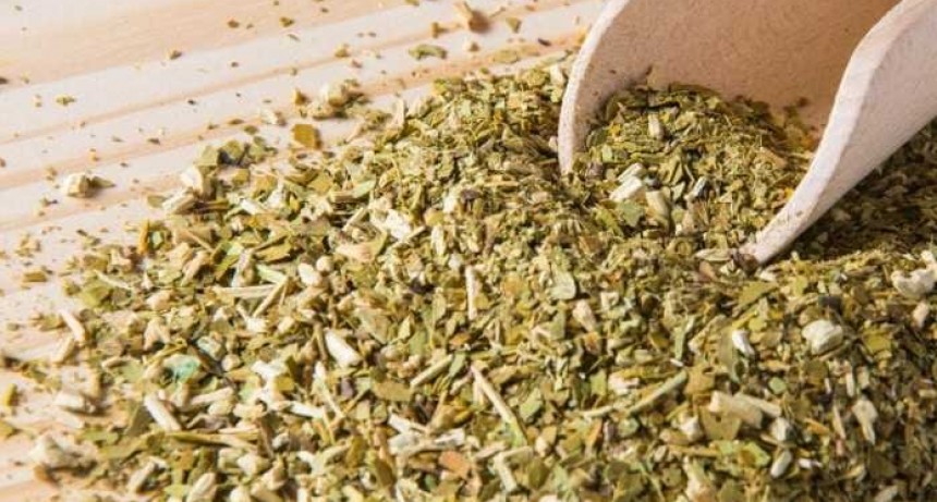 Consumo interno y exportaciones por 102 millones de kilos de yerba mate