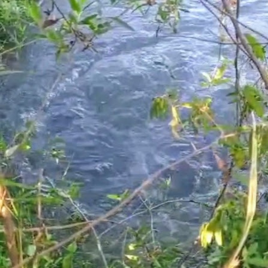 ALERTA: Hay que cuidar el agua, porque se rompi&oacute; un ca&ntilde;o del acueducto