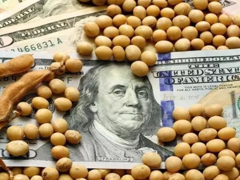 Uno de cada cuatro dólares que ingresa el agro va al exterior o “al colchón”