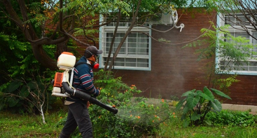 Mediante el trabajo articulado, se realizaron fumigaciones preventivas en instituciones de Castelli