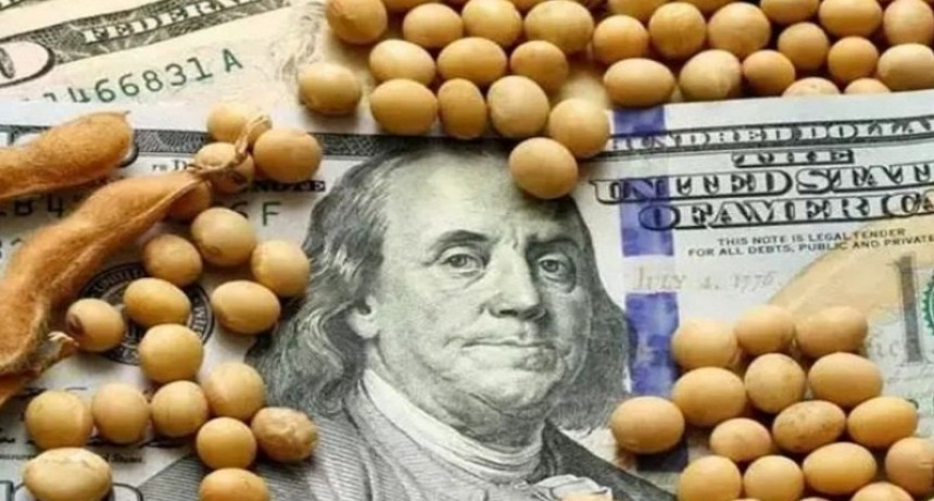 Uno de cada cuatro d&oacute;lares que ingresa el agro va al exterior o &ldquo;al colch&oacute;n&rdquo;