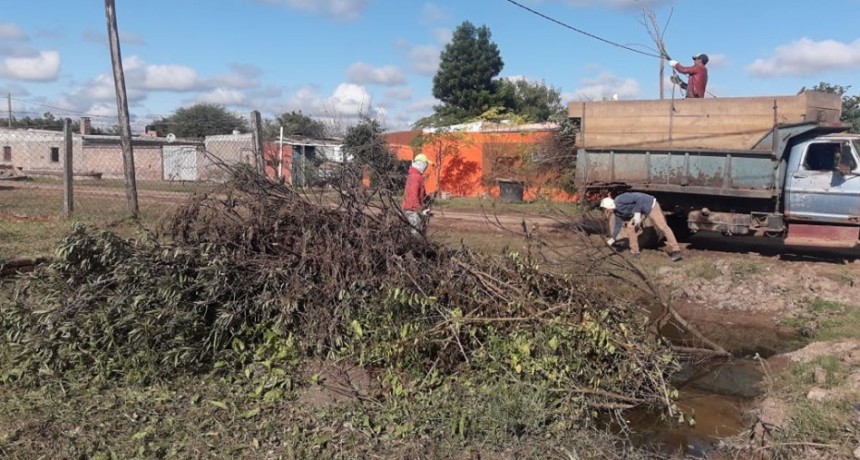 Municipalidad de Castelli realiza operativos integrales