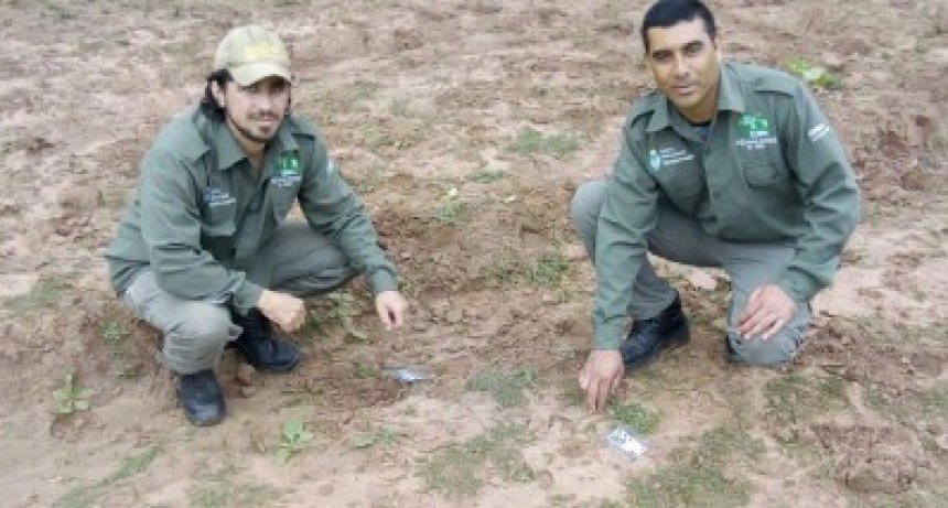 Huellas que permiten mantener la esperanza del yaguaret&eacute; en el Chaco