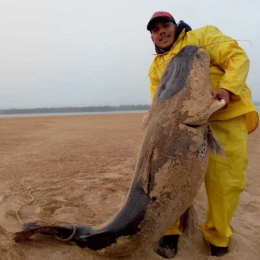 Repudian captura de ejemplar de surub&iacute; de m&aacute;s de 70 kilos