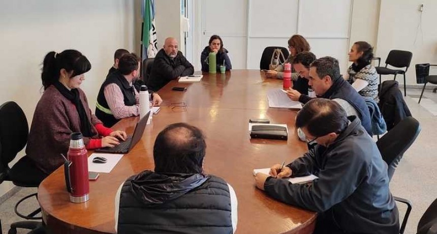 Peque&ntilde;o escarabajo de colmena: Chaco y Formosa acordaron con el Senasa un protocolo preventivo