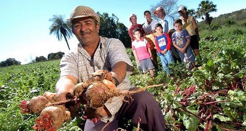 Fern&aacute;ndez anunci&oacute; una partida de u$s 100 millones para promover la agricultura familiar