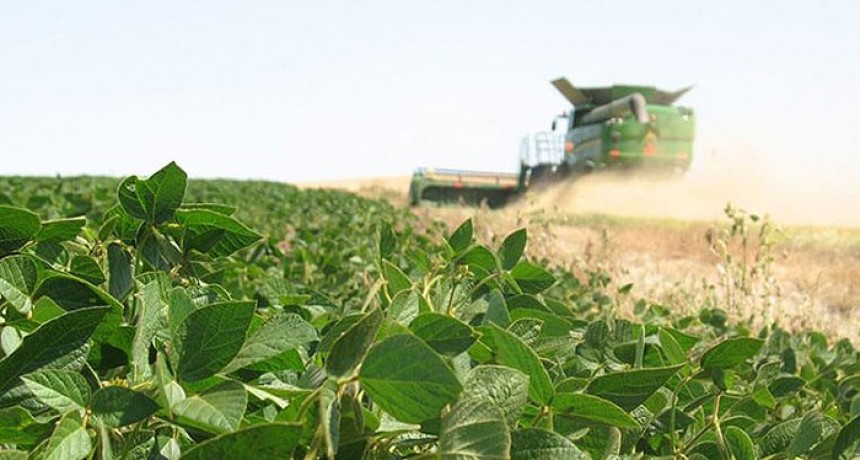 La soja se dispara y se acerca a los u$s640 en Chicago