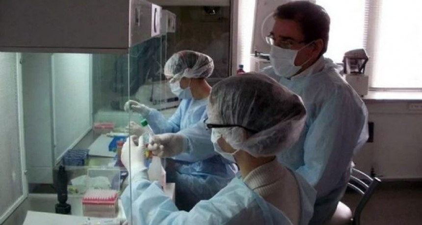 Cecilia: equipo de antropolog&iacute;a forense concluy&oacute; que &rdquo;no hay nada claramente humano&rdquo; en muestras &oacute;seas analizadas