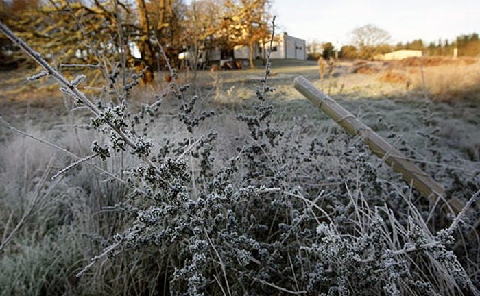 Sáenz Peña fue la ciudad más fría del NEA: llegó este domingo a 4 grados bajo cero